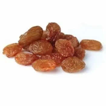 Fresh Brown Raisins